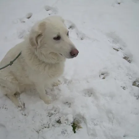 Strada Della Marina Отель типа 