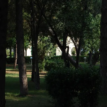 Strada Della Marina Scapezzano