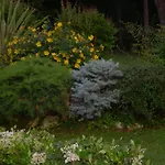 Bed & Breakfast Strada Della Marina 4*