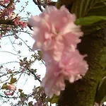 Bed & Breakfast Strada Della Marina Scapezzano