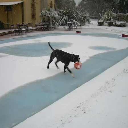 Strada Della Marina 4* Scapezzano