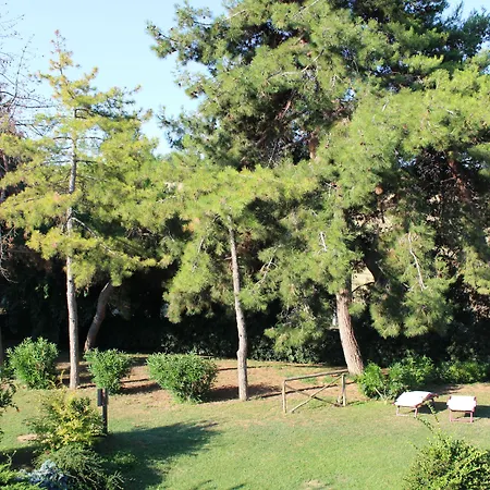 לינה וארוחת בוקר Strada Della Marina Scapezzano