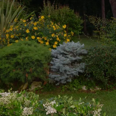 Bed & Breakfast Strada Della Marina 4*