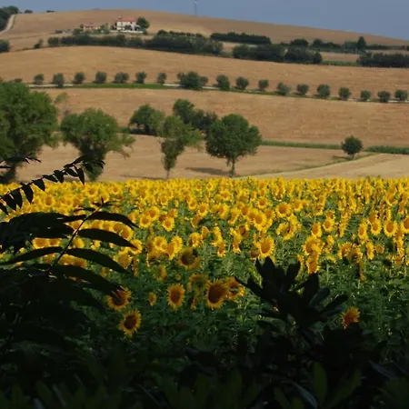 Strada Della Marina Scapezzano