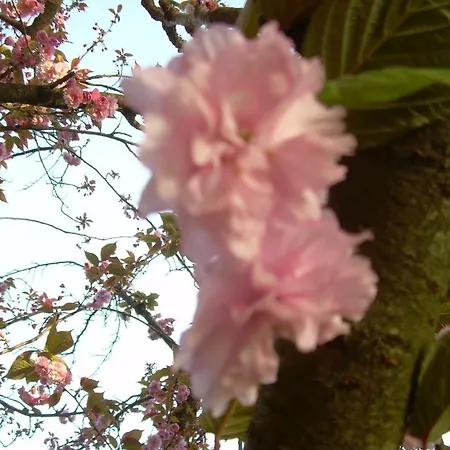 Couette-café Strada Della Marina Scapezzano